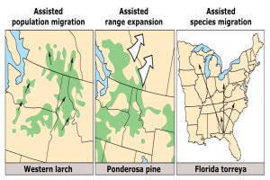 Eine Karte der Vereinigten Staaten, die verschiedene Arten der unterstützten Bevölkerungswanderung hervorhebt, begleitet von beschreibendem Text.