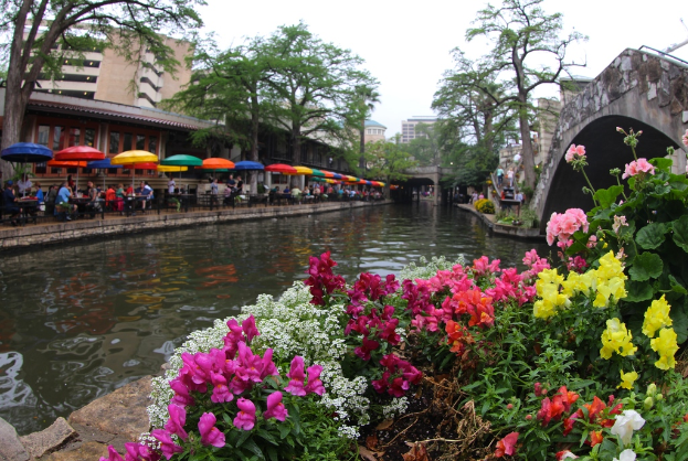 Eine Szene mit einem Restaurant links, mit Menschen, die unter Schirmen sitzen, einem Kanal in der Mitte und zahlreichen Pflanzen rechts, mit Bäumen und Himmel im Hintergrund.