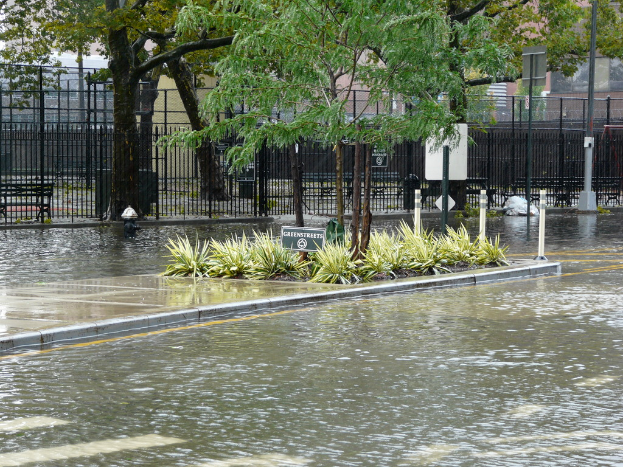 Eine überflutete Straße mit Pflanzen, Bäumen und einer Tafel in der Mitte, umgeben von Wasser, mit einem Zaun, einem Gebäude und weiteren Pflanzen im Hintergrund.
