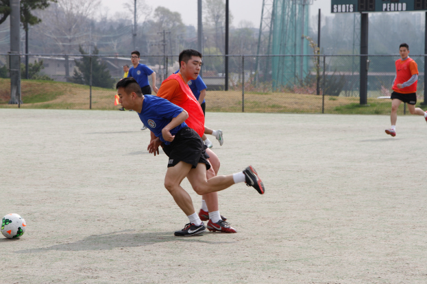 Eine Gruppe von Spielern ist in einem Fußballspiel innerhalb eines eingezäunten Bereichs beteiligt, mit Bäumen, Leitern und Strommasten auf der anderen Seite des Zauns.