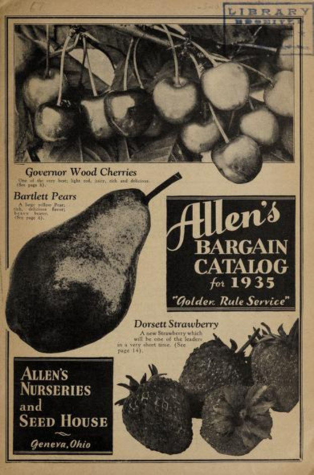 Eine 1935-Anzeige für Allen's Bargain Catalog mit leuchtenden Illustrationen von Äpfeln, Orangen, Trauben und anderen Früchten sowie fetter Schrift und einem dekorativen Rahmen.