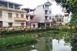 Kleiner städtischer Teich umgeben von Gebäuden, Grünflächen und Infrastruktur unter einem bewölkten Himmel.