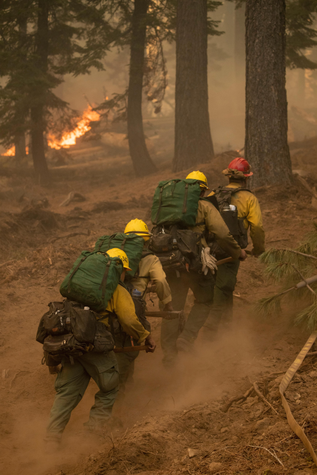 Eine Gruppe von Feuerwehrleuten in Helmen und Rücksöcken geht durch einen Wald, mit einem Feuer in der Ferne.