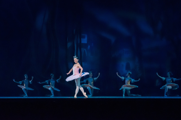 Eine Ballerina in einem pinken Tutu und Spitzenschuhen tanzt anmutig auf einer dunklen Bühne, umgeben von anderen Tänzern in ähnlichen Kostümen.