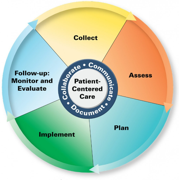 Kreisförmige Diagrammüberschrift "patientenorientierte Versorgung" mit vier farbigen Abschnitten, die jeweils mit einem spezifischen Aspekt der Versorgung beschriftet sind.