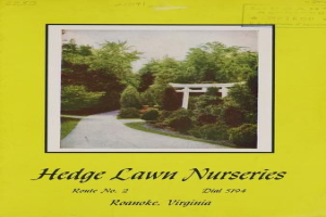Plakat für Hecken-Garten-Nurseries in Roanoke, Virginia, mit Bäumen, Pflanzen, einem Weg und Himmel, sowie dem Text "Hecken-Garten-Nurseries Route No. 2" unten.