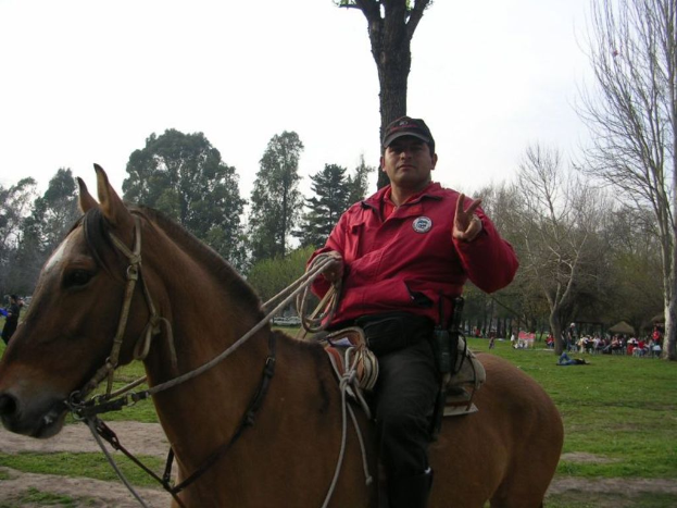 Eine Person, die auf einem Pferd in einem grasigen Bereich mit Bäumen und anderen Menschen im Hintergrund reitet.