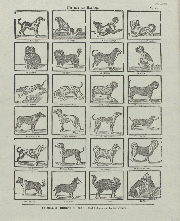 Ein altes Buch, das auf einer Seite mit Abbildungen verschiedener Hunderassen und begleitendem Text geöffnet ist.
