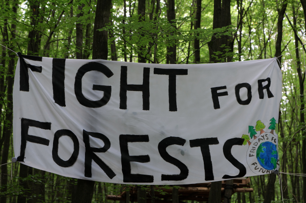 Gefährdete Übriggebliebene Teile des Hambacher Forsts