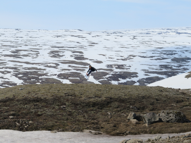 Eine Person, die auf einem Snowboard einen schneebedeckten Berg hinabfährt, umgeben von Felsen und Gras, mit einem klaren Himmel im Hintergrund und glitzerndem Schnee.