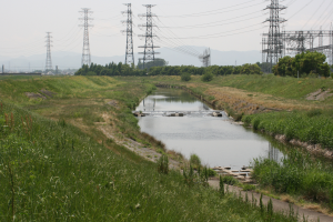 Ein Fluss durchquert ein grünes Feld mit Stromleitungen, Gras, Pflanzen, Bäumen und Türmen im Vordergrund, mit Bergen und Himmel im Hintergrund.