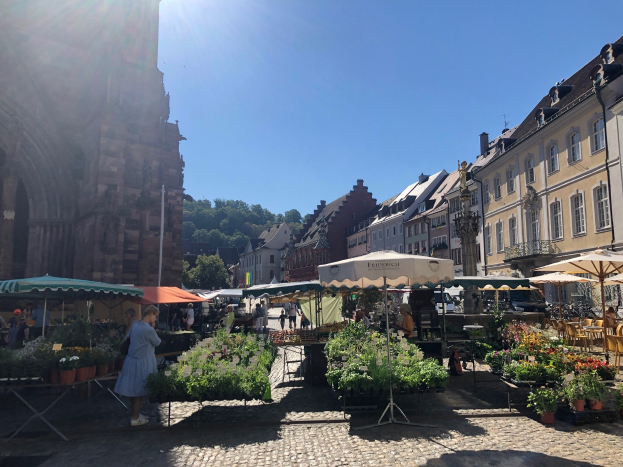 Ein belebter Markt im alten Stadtkern von Heidelberg mit Menschen an Tischen mit Blumentöpfen und Schirmen, vor Häusern, Bäumen und einem klaren blauen Himmel.