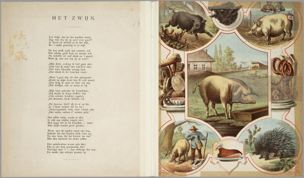 Offenes Buch mit Abbildungen von Schweinen, Hühnern und anderen Nutztieren neben Text auf der linken Seite.