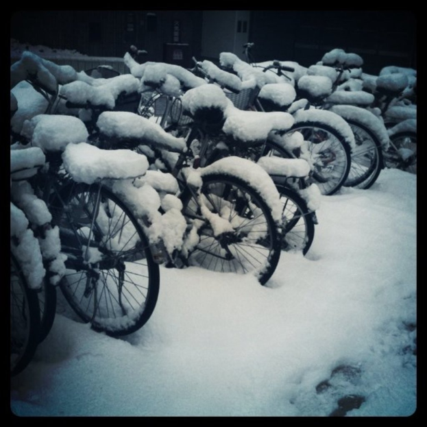 Mehrere Fahrr√°der stehen auf einem schneebedeckten Boden, der ebenfalls mit Schnee bedeckt ist.