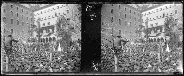 Ein Schwarz-Weiß-Foto einer großen Menge, die vor einem mehrstöckigen Gebäude mit Fenstern, Bäumen und Flaggen im Hintergrund protestiert, einige halten Schilder und Banner.